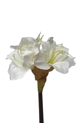 künstliche Amaryllis weiss 50cm Einzelblumen Kunstblumen winter weihnachtsdeko - Bild 1 von 2