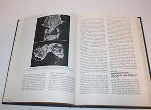 William H Perkins / Speech Pathology An Applied Behavioral Science Vintage 1971 - Picture 1 of 7