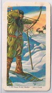 Brooke Bond Red Rose Tea Cards The Arctic #3 Chipewyan Indian