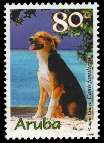 ARUBA 176 - Local Domestic Dogs Issue (pb18882) Cover