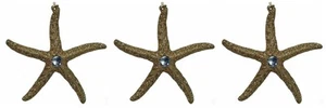 Katherine's Collection Glittered Jeweled Starfish Holiday Ornaments Set of 3 - Imagen 1 de 2