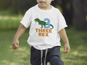 Boys 3rd Birthday T Shirt Toddler 3 Years Old Gift Dinosaur Three Rex Shirt Tee - Picture 1 of 5