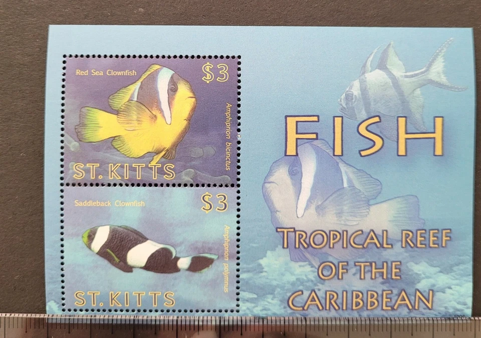 San Cristóbal 2010 / Pez de Arrecife Tropical del Caribe / 2v ms Foto 1 de 1