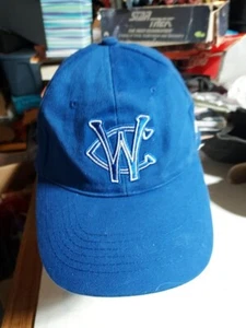 Windy City Thunderbolts Minor League Baseball Hat Cap ,VGC - Picture 1 of 5