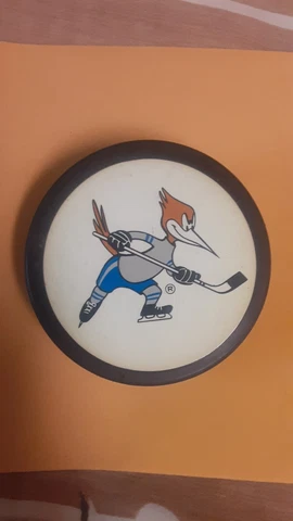 1989-90 Phoenix Roadrunners (IHL Los Angeles Kings) official game used puck Cover