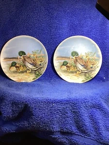 Vintage 7,5 Zoll Sammler bemalt Stockente Familie Teller, 2er Set, Made in Japan - Bild 1 von 4