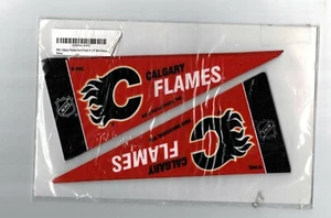 8er Pack Lot NHL Calgary Flames 9" x 4" Filz Mini Wimpel Brandneu - Bild 1 von 1