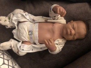 preloved reborn dolls