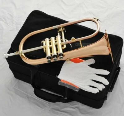 玫瑰黄铜 Flugelhorn Monel 阀门 B 平角 ABALONE SHELL 按钮费用运费 — 第 1/4 张图片