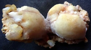 STUNNING THUMSOLITE BALLS W/ STILBITE BLEDS MINERALS SPECIMEN*7.3 - Picture 1 of 4