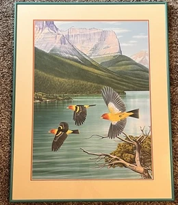 Monte Dolack Fine Art Print Western Tanagers signiert gerahmt Originaldruck - Bild 1 von 6