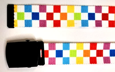 Cinturón Arco Iris a Cuadros Hot Topic 1 1/2" W Geométrico Retro Años 80 48" L Foto 1 de 4