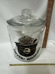 Smokey The Bear Cookie Jar - Picture 1 of 5