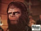 RODDY McDOWALL ESCAPE FROM THE PLANET OF THE APES 1971 VINTAGE LOBBY CARD #1