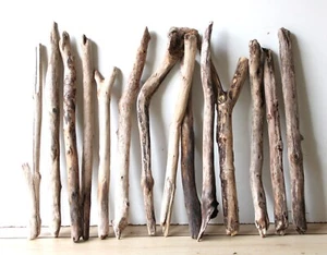 Treibholz Schwemmholz Driftwood 14 Äste Dekoration Basteln 43-54 cm *SMO* - Bild 1 von 11