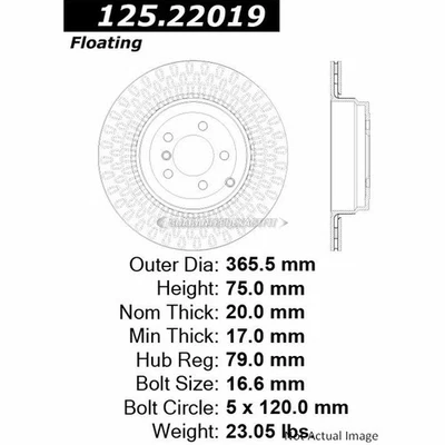 Disco de rotor de freno trasero centrado para Land Rover Range Rover Sport 2010-2012 Foto 1 de 3