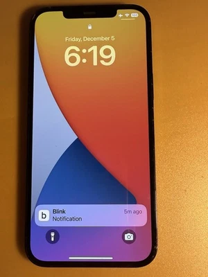 iPhone 12 Pro Max - Image 1 of 4