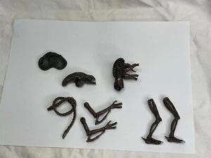 Hot Toys Aliens Alien Type B Snap Together A004 - Picture 1 of 1