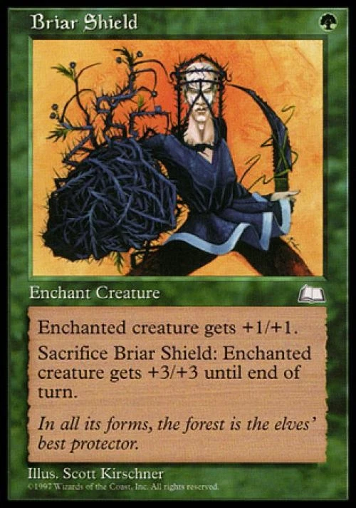 Briar Shield - Medium Play MTG Weatherlight - Image 1 of 1
