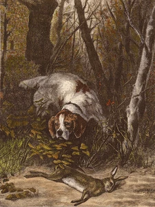 IRISH RED AND WHITE SETTER DOG GREETINGS NOTE CARD DOG IN THE WOODS - Foto 1 di 1