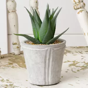 Potted Aloe 6.5" Faux Houseplant - Picture 1 of 1