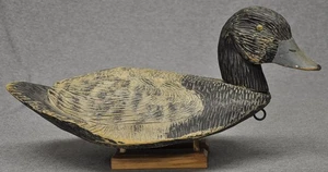 EINZIGARTIGER STIL BLUE BILL Erpel Ente Köder TACK EYES ORIGINALLACK FOLKY UNBEKANNT - Bild 1 von 10