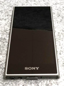 SONY NW-A306(HC) GLAY 32GB Hi-Res Serie A300 Walkman Lettore Audio Inglese - Foto 1 di 8