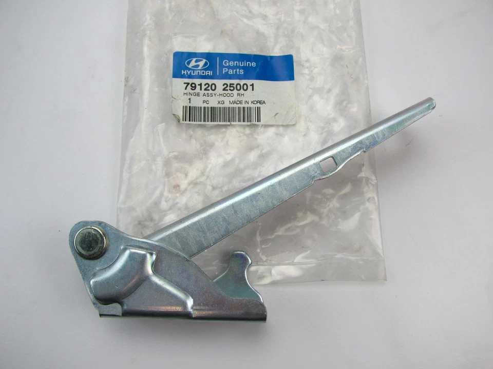 Genuine OEM For 2001-2005 Hyundai Accent RIGHT Hood Hinge 7912025001 Passengers - Image 1 of 4