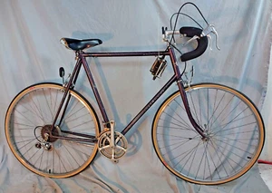 1978 Terranaut Allegro Road Bike X-Large 62cm Lugged Chromoly Steel USA Shipper - Picture 1 of 17
