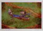 450074 Fleetwing Seabird 1936 Merced California Ltd Ed A3 Watercolour Pri