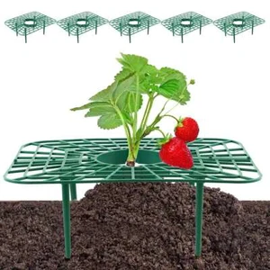 5pack Adjustable Strawberry Supports Plant Stand Strawberry Fruit Growing Holder - Picture 1 of 12