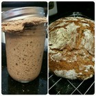 Organic Rye Flour Distinctive Sourdough Starter LOW GI LOW Gluten