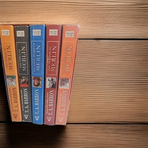 Die verlorenen Jahre der Merlin Saga von TA Barron Box Set Taschenbuch - Bild 1 von 3