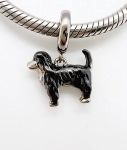 Border Collie Dangle Charm Anhänger Hund Haustier Tier Echt 925 Sterling Silber 💖 - Bild 1 von 10
