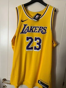 NBA Jersey LeBron James #23 Authentic Icon Edition Lakers Nike - size 58 - Imagen 1 de 12