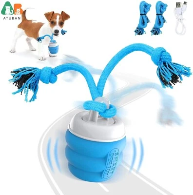 Peppy Pet Ball Interactive Dog Toys Moving Dog Ball Rolling Ball Squeaky DogBall - Image 1 of 4