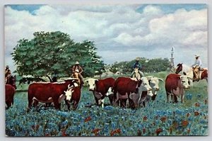 Postcard Cattle Cowboys and Cowponies Among Bluebonnets Texas Once in a Lifetime - Picture 1 of 2