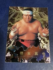 Shinya Hashimoto Trading Card Specially Processedjapan Pro Wrestling