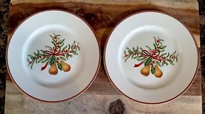 JUEGO (2) 1993 Royal Gallery QUEENSBERRY 7.5" Platos de Ensalada Navidad Bayas Peras - Imagen 1 de 4