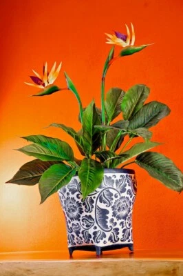 Blumen Übertopf Blumentopf Asiatisch Asia Thailand Bambus vintage retro Thai neu - Bild 1 von 4