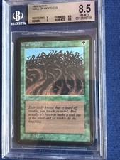 MTG Alpha Wall of Wood C G 9.5,9 BGS 8.5 NM-MT+ (GEM MINT surface) 1993
