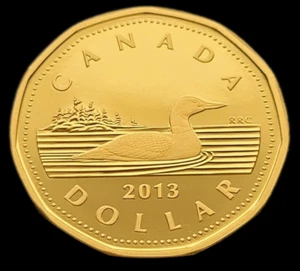 ** 1$ CANADA PROOF LOONIE 2013 FINE SILVER ** TAXE EXEMPT FOR CANADIAN ** - Picture 1 of 2