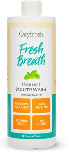 Fresh Breath Fresh Mint Mouthwash – Dentist Recommended for Long-Lasting Fresher - Picture 1 of 6
