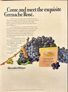 Almaden Grenache Rose Wine Grapes San Juan Bautista Vintage Print Ad 1973 - Picture 1 of 6