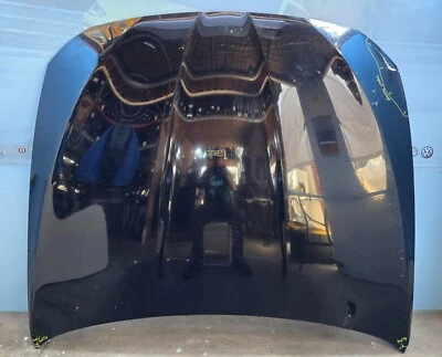 BMW SERIE 5 528i 535i 550i M5 2011 2012 2013 2014 2015 2016 capó OEM usado Foto 1 de 4