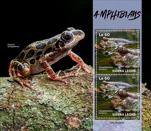 Amphibians Frogs MNH Stamps 2024 Sierra Leone M/S - Picture 1 of 1