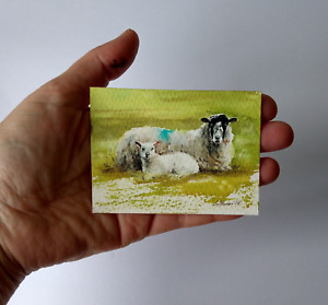 Original Not A Print, ACEO watercolour miniature signed. Sheep and lamb.