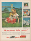 1948 Ansco Film Take Your Pictures In Thrilling True Colors Lady Collie Print Ad