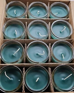 STEADY WOR CANDLE 7 Day Unscented 1 Color Green Candle in Glass 12 Pack - Picture 1 of 5