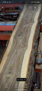  2, Live Edge Schwarznuss Holzplatte getrocknet 1,25 dick 8 bis 10 Zoll breit x 24  - Bild 1 von 8